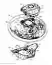 Fig. 01 - Air-bag module mounting structure