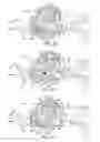 Fig. 17 - Bicycle component positioning device