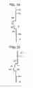 Fig. 16 - Elevator controlling panel and elevator apparatus that uses the same