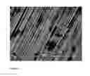 Fig. 02 - Graphene sheets and methods for making the same