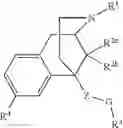 Fig. 08 - BENZOMORPHAN COMPOUNDS AS OPIOID RECEPTORS MODULATORS