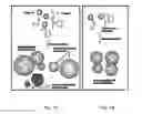 Fig. 02 - Enzyme-activating compounds and compositions