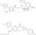 Fig. 424 - Heterocyclic modulators of lipid synthesis