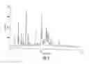 Fig. 07 - Hydrochloride salts of 8-[1-(3,5-bis-(trifluoromethyl)phenyl)-ethoxymethyl]-8-phenyl-1,7-diazaspiro[4,5]decan-2-one and preparation process therefor