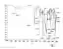 Fig. 08 - Hydrochloride salts of 8-[1-(3,5-bis-(trifluoromethyl)phenyl)-ethoxymethyl]-8-phenyl-1,7-diazaspiro[4,5]decan-2-one and preparation process therefor