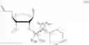 Fig. 294 - Nucleic acid chemical modifications