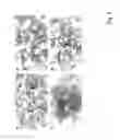 Fig. 08 - Method and composition for crystallizing G protein-coupled receptors