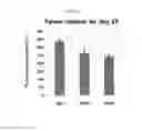 Fig. 06 - Antibody specifically binding to ANG2 and use thereof