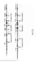 Fig. 08 - ADAM6 mice