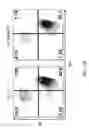Fig. 35 - ADAM6 mice