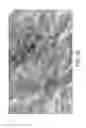 Fig. 09 - MULTIFUNCTIONAL REPELLENT MATERIALS