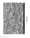 Fig. 10 - MULTIFUNCTIONAL REPELLENT MATERIALS