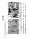 Fig. 19 - MULTIFUNCTIONAL REPELLENT MATERIALS