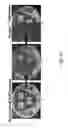 Fig. 35 - MULTIFUNCTIONAL REPELLENT MATERIALS