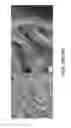 Fig. 44 - MULTIFUNCTIONAL REPELLENT MATERIALS