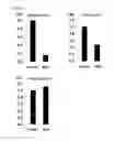 Fig. 03 - Medium, for culturing corneal endothelial cells, containing conditioned medium from mesenchymal stem cells
