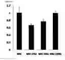 Fig. 06 - Medium, for culturing corneal endothelial cells, containing conditioned medium from mesenchymal stem cells