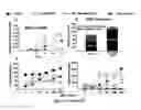 Fig. 09 - Maintenance and propagation of mesenchymal stem cells