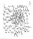 Fig. 02 - MIRNA MODULATORS OF THERMOGENESIS