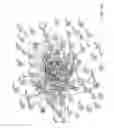 Fig. 03 - MIRNA MODULATORS OF THERMOGENESIS