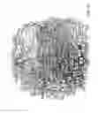 Fig. 04 - MIRNA MODULATORS OF THERMOGENESIS