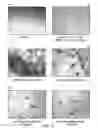 Fig. 15 - MIRNA MODULATORS OF THERMOGENESIS
