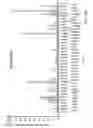 Fig. 19 - MIRNA MODULATORS OF THERMOGENESIS