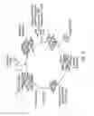 Fig. 30 - MIRNA MODULATORS OF THERMOGENESIS