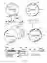Fig. 07 - MYCOBACTERIUM COMPRISING EXPRESSION VECTOR WITH TWO AUXOTROPHIC SELECTION MARKERS AND ITS USE AS VACCINE