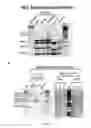 Fig. 09 - MYCOBACTERIUM COMPRISING EXPRESSION VECTOR WITH TWO AUXOTROPHIC SELECTION MARKERS AND ITS USE AS VACCINE