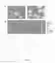 Fig. 04 - EXPRESSION AND HIGH-THROUGHPUT SCREENING OF COMPLEX EXPRESSED DNA LIBRARIES IN FILAMENTOUS FUNGI