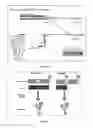 Fig. 06 - Compositions and Methods for Increasing Pest Resistance in Plants