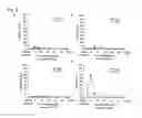 Fig. 04 - MARKER FOR DETECTING MYOGENIC DISEASE AND DETECTION METHOD USING THE SAME