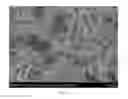 Fig. 03 - Thermally and dimensionally stabilized electrospun compositions and methods of making same