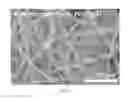 Fig. 06 - Thermally and dimensionally stabilized electrospun compositions and methods of making same