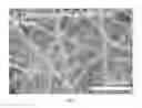 Fig. 08 - Thermally and dimensionally stabilized electrospun compositions and methods of making same