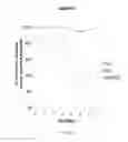 Fig. 23 - Thermally and dimensionally stabilized electrospun compositions and methods of making same