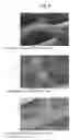 Fig. 08 - NONWOVEN CLOTH