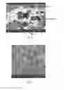 Fig. 02 - Abradable coating made of a material having a low surface roughness