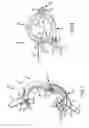 Fig. 02 - Clamp for sanitary fitting