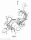 Fig. 06 - Clamp for sanitary fitting
