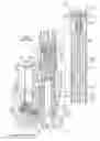 Fig. 01 - Front fork