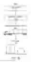 Fig. 03 - Virtual gaseous fuel pipeline