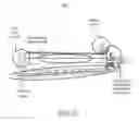 Fig. 35 - Virtual gaseous fuel pipeline