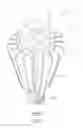 Fig. 02 - Lamp bulb with internal reflector