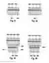 Fig. 22 - Optical element having a plurality of interposed optical arrays