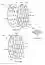 Fig. 09 - Multi-spectral variable focus illuminator