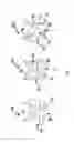 Fig. 03 - Capillary cell, arrangement and method for accommodating, positioning and examining a microscopic specimen