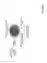 Fig. 03 - Functional assay for cancer recurrence and malignant potential