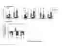 Fig. 26 - Functional assay for cancer recurrence and malignant potential